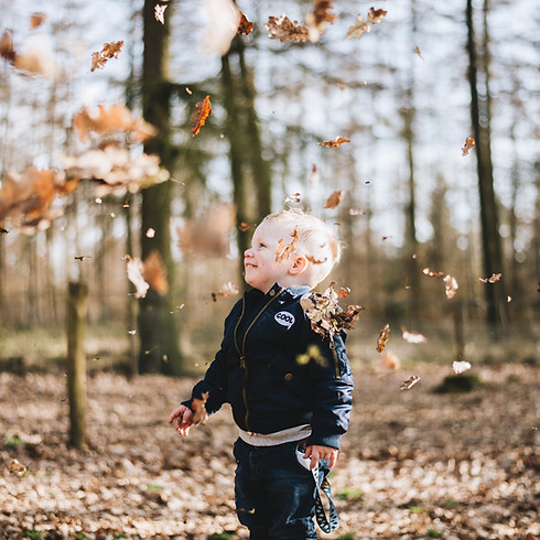 Image by Sander Weeteling