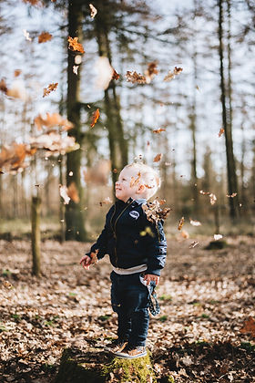 Image by Sander Weeteling