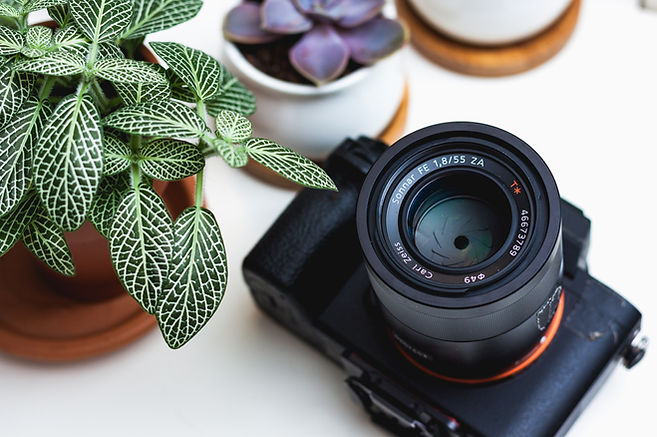 Fotografie Sophie