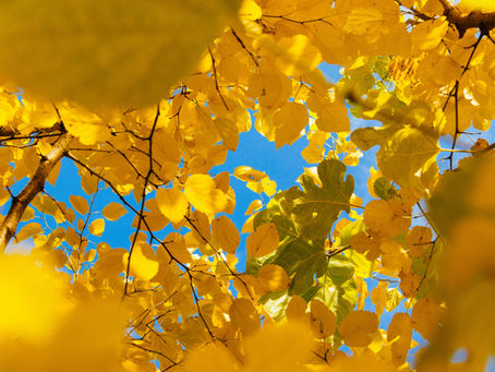 10 Empowering Ways to Support and Balance Your Solar Plexus Chakra