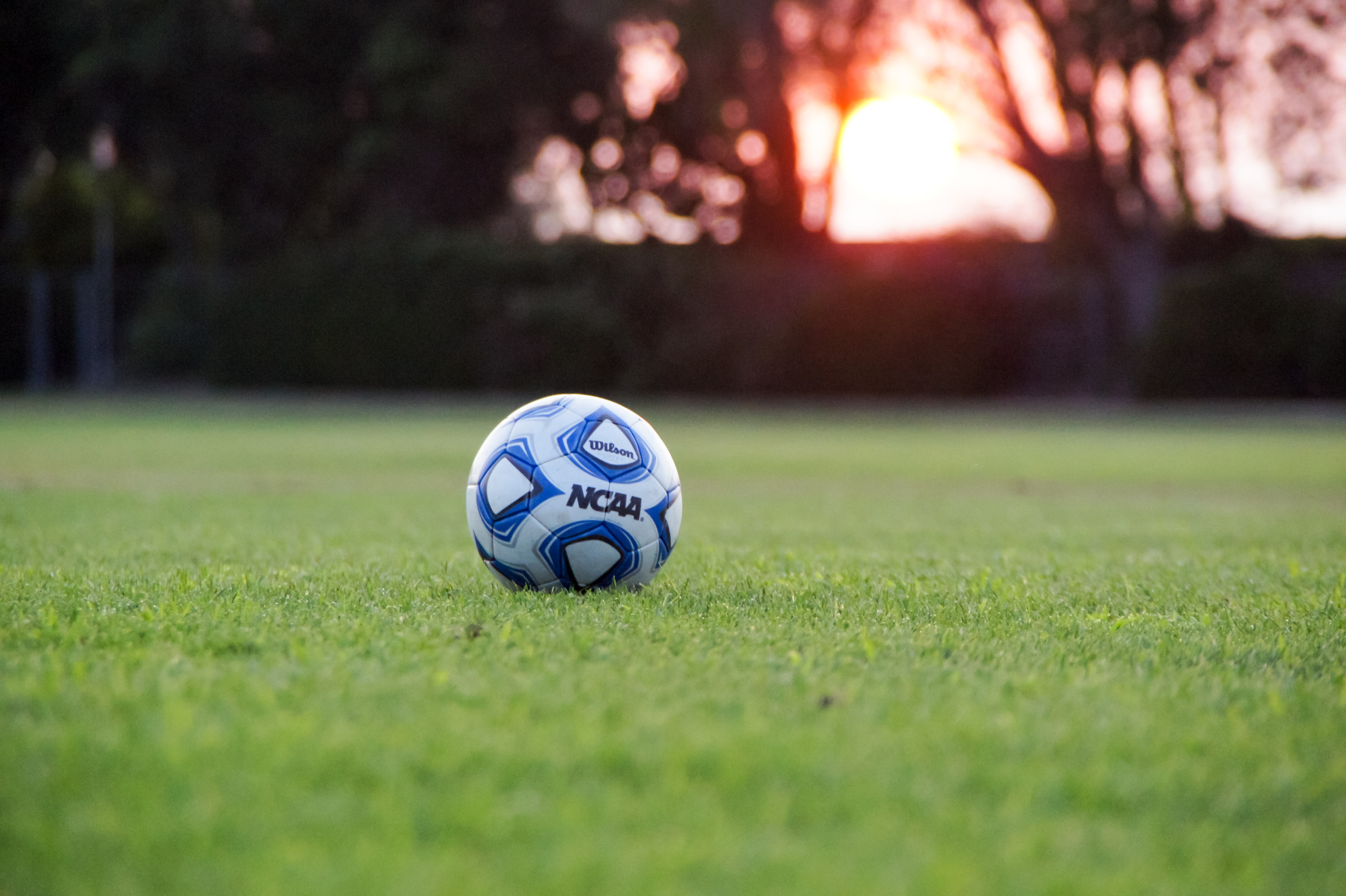 SV Übelbach Sponsorschleife