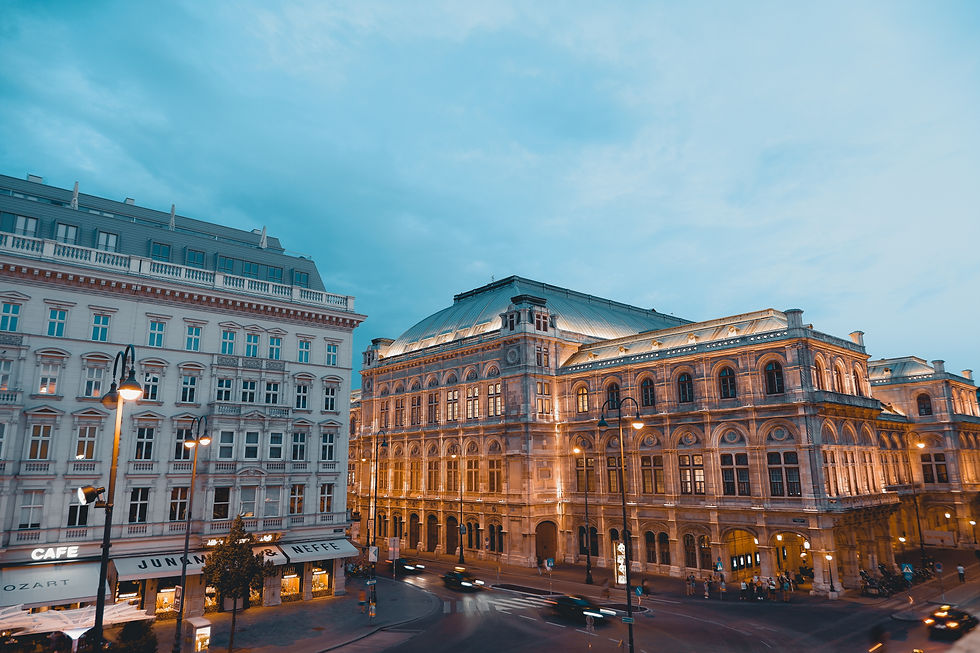 Reise nach Wien mit Hund — tierfreundliche Sehenswürdigkeiten, Stadtrundgänge und Hotels
