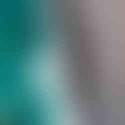 Imprescindibles que ver y hacer en Tenerife