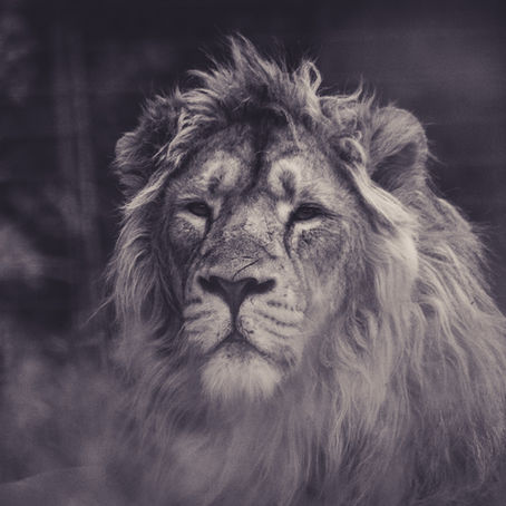 今週末の私たちへ