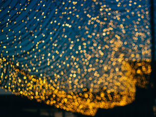 Met deze camera apps maak je 'Bokeh' foto's met je smartphone