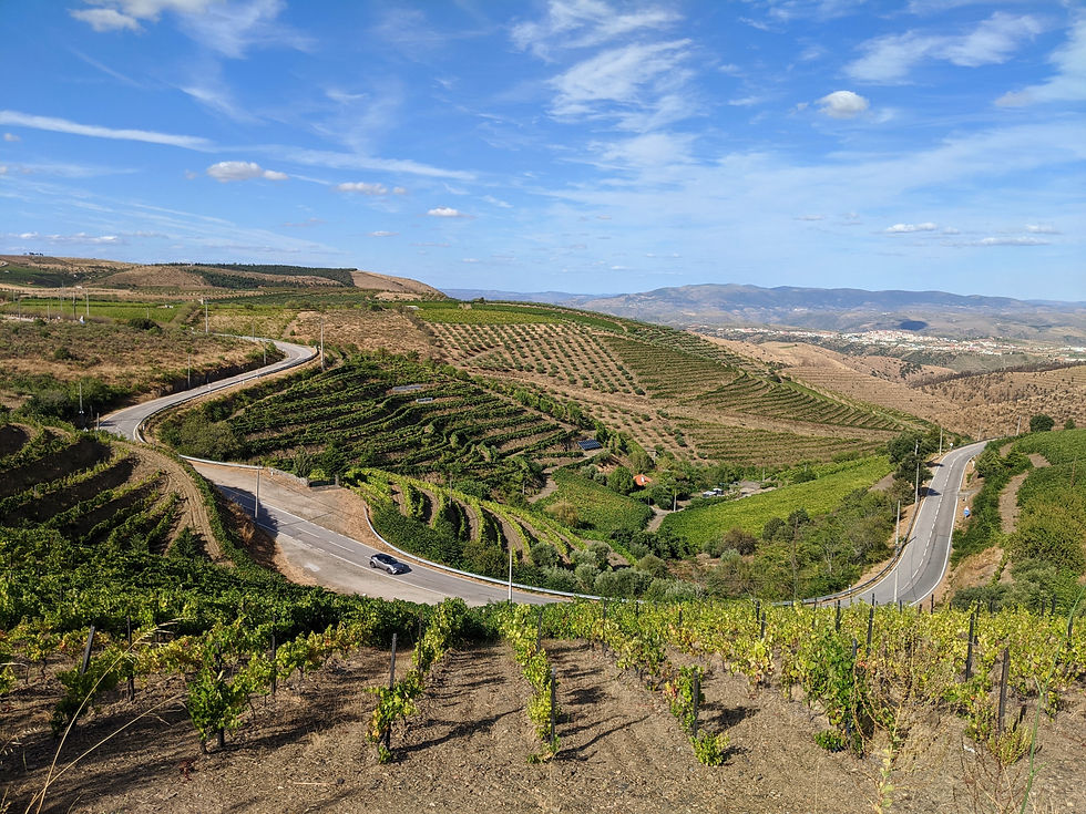 Douro Valley