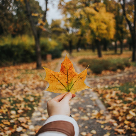 20 Autumn-Themed Writing Prompts