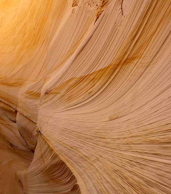 Image by Laura Seaman