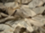 crumbled paper