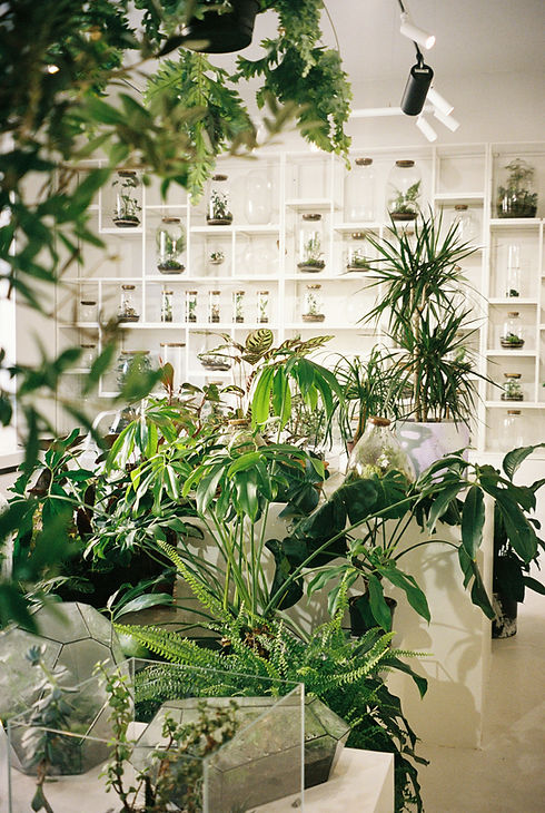 Image by Maryna Yanul