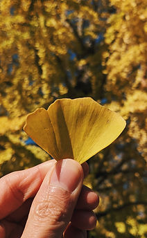 Image by note thanun