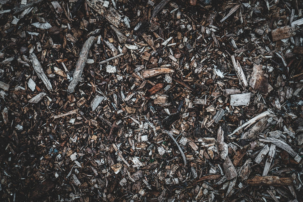 Dark wood mulch spread in a garden bed