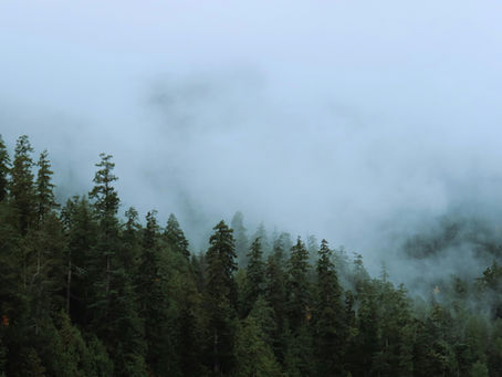 seasonal affective disorder SAD