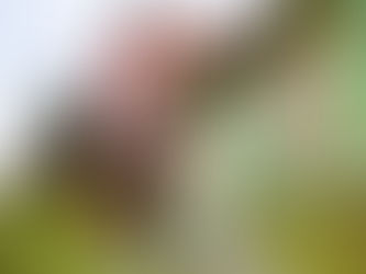 City Break Stavanger: A 3-Day Guide to Epic Fjords, Wooden Streets and Nordic Flavours (2026)