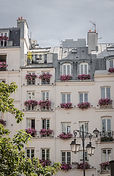 Image de Louis Paulin