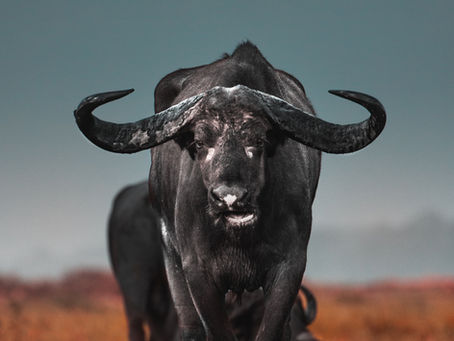 Major Crypto Liquidations Hit $580M as Bitcoin, Ether, Solana, and Dogecoin Plunge