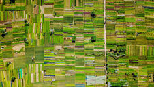 Understanding the Impact of Farmers' Identity on Sustainable Soil Practices