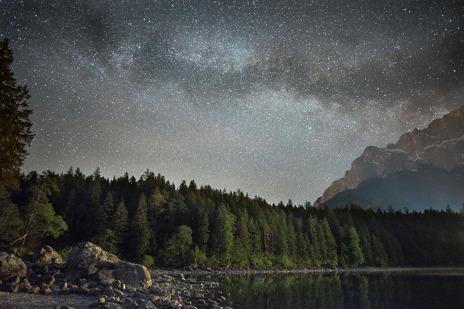 Image by Thomas Griesbeck