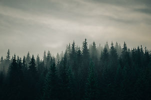 Image de Haseeb Jamil