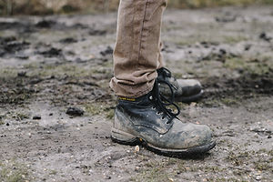 Image by Annie Spratt