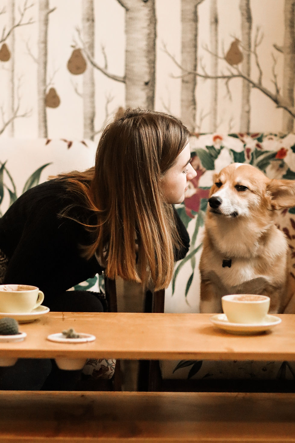 More than just a COFFEE! It's an ecstatic story every time at Cafephile.