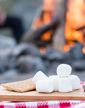 S'mores Party