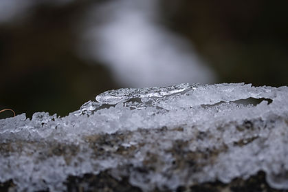 Image by Paddy O Sullivan