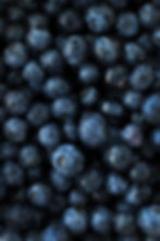 Wild Blueberry