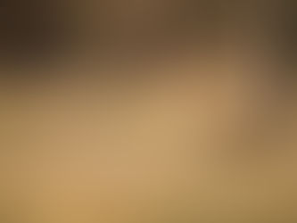 Whitetail Deer