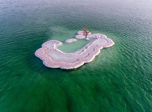 Image by Konstantin Tretyak