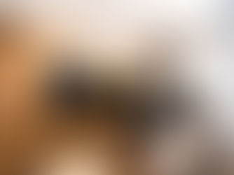 Top Trends in Kitchen Remodeling for 2024