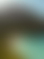 Caravan campsites, Fethiye - Kabak Bay