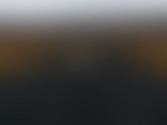 Were not our hearts burning within us?