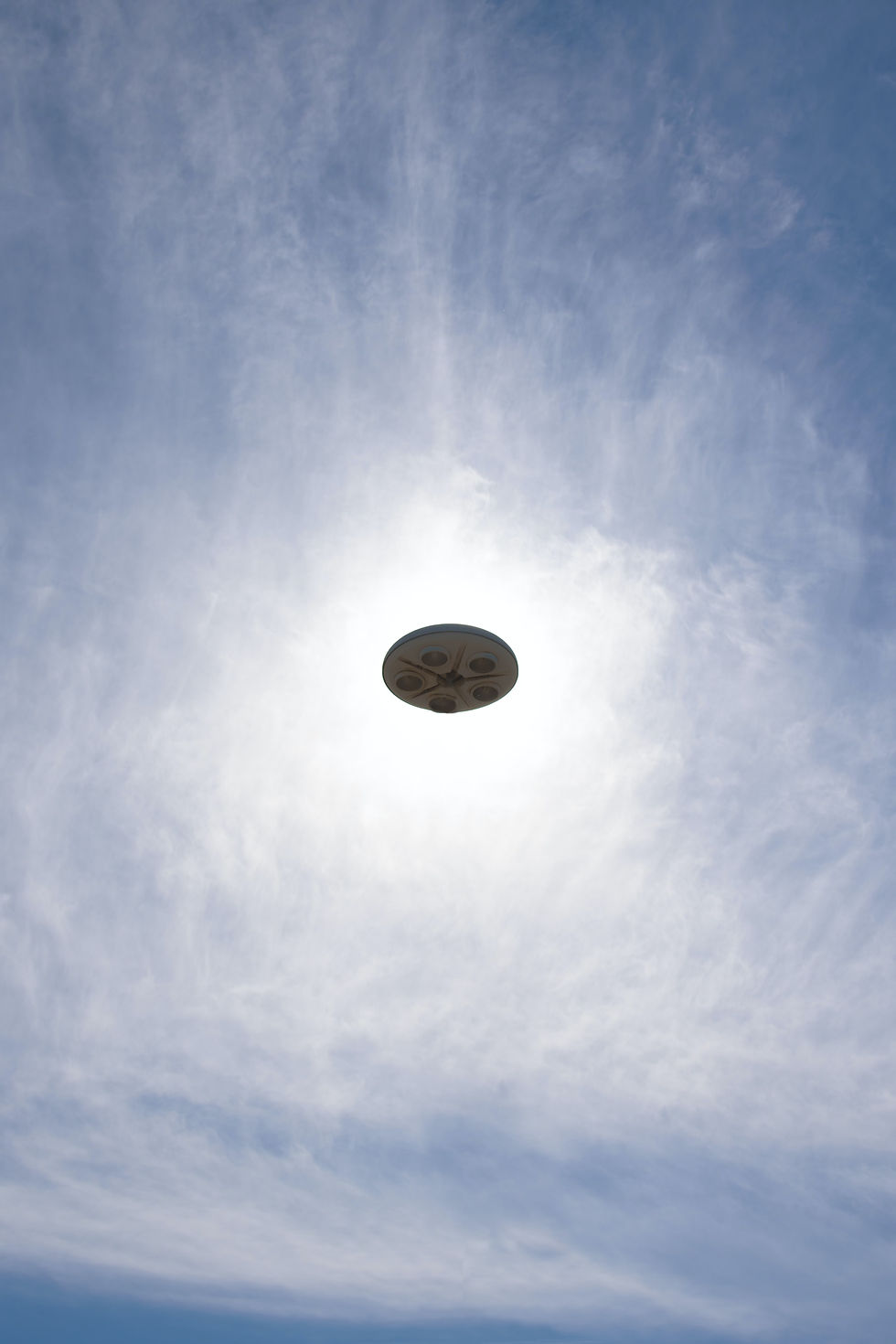 Image by Gianluca Carenza