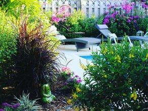 Lead Nurturing for Landscapers: How it Can Help Your Business Flourish