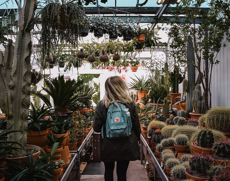 Image by Leonie Christine