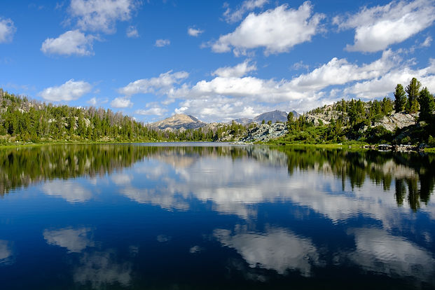 Image by John Jennings