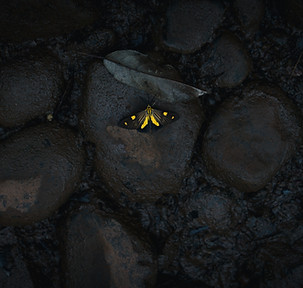 Image by José Ignacio García Zajaczkowski