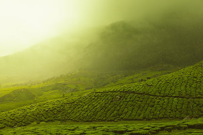 Image by Vivek Kumar