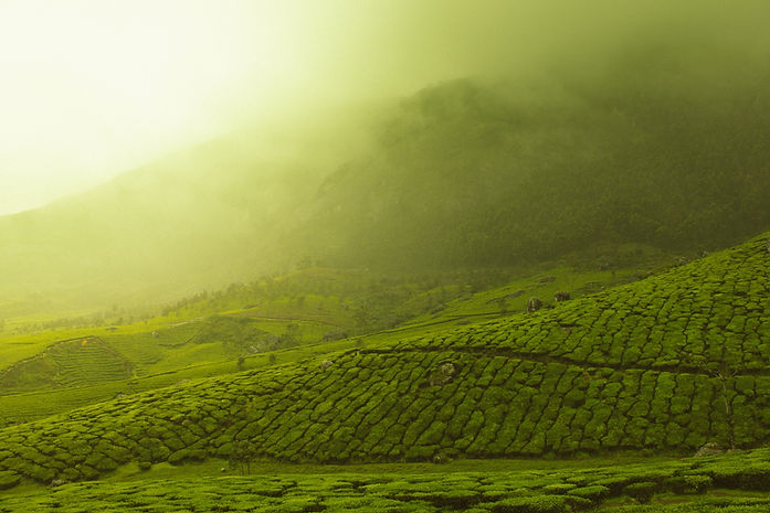 Image by Vivek Kumar