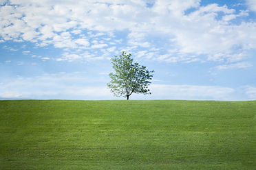 Image by Colin Czerwinski