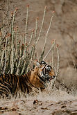 shutterstock_788970415-1.jpg