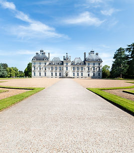 Image by Dorian Mongel