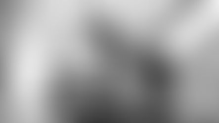 How many calories do I burn by spinning?