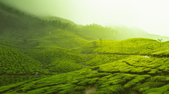 Image by Vivek Kumar