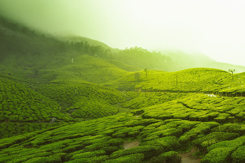 Image de Vivek Kumar