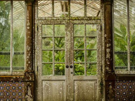 Weathered greenhouse door with moss, surrounded by vibrant greenery and patterned tiles, exuding a vintage, run-down vibe.
