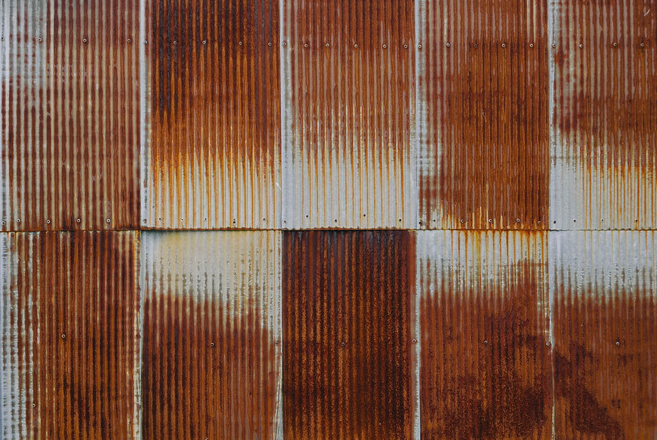 Image by Kelly Sikkema