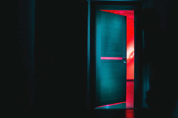 Image by Dima Pechurin