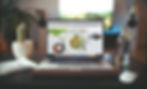 Website Design